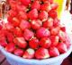Strawberry Garnish-How To Tips & Ideas